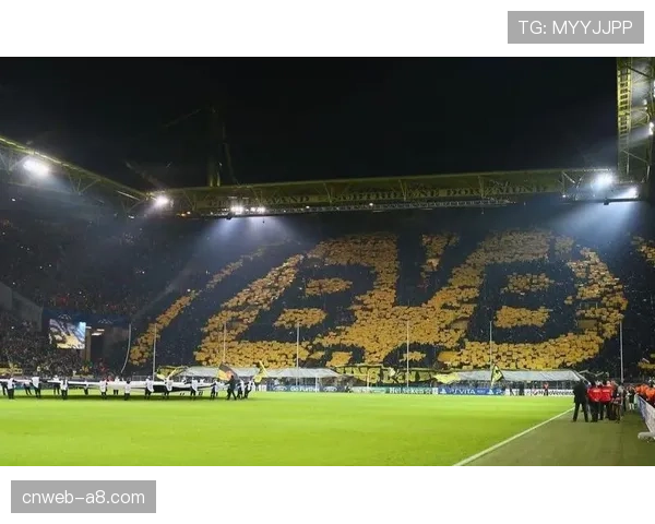 多特蒙德威斯特法伦球场南看台启动局部翻新工程